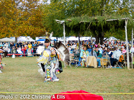 TNStatePowWow-ChristineAEllis-1011