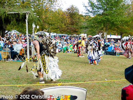 TNStatePowWow-ChristineAEllis-1015