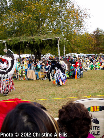 TNStatePowWow-ChristineAEllis-1017