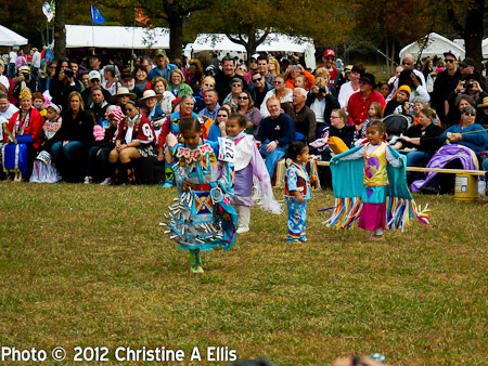 TNStatePowWow-ChristineAEllis-205