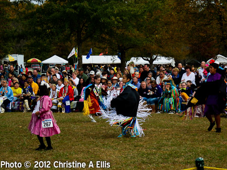 TNStatePowWow-ChristineAEllis-300