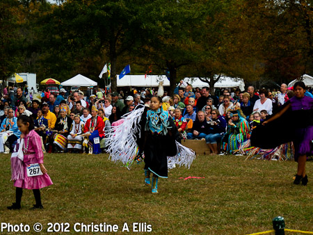 TNStatePowWow-ChristineAEllis-302