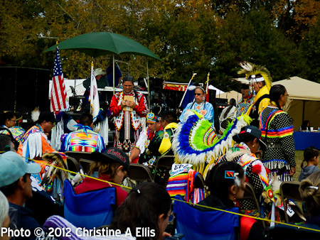 TNStatePowWow-ChristineAEllis-434