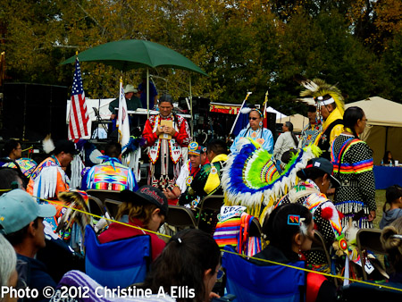 TNStatePowWow-ChristineAEllis-435