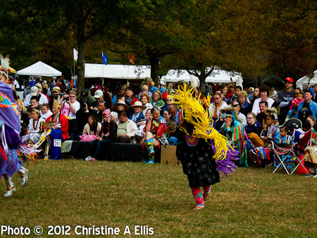 TNStatePowWow-ChristineAEllis-481