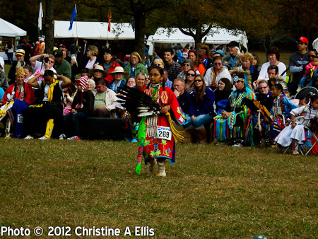 TNStatePowWow-ChristineAEllis-500