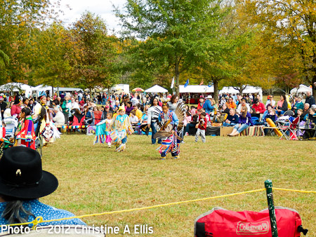 TNStatePowWow-ChristineAEllis-591