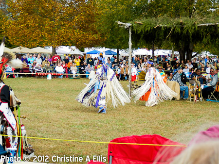 TNStatePowWow-ChristineAEllis-868
