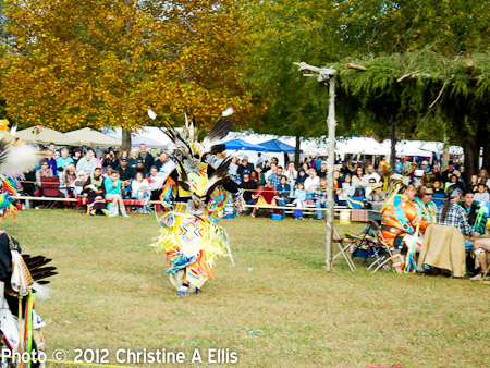 TNStatePowWow-ChristineAEllis-929