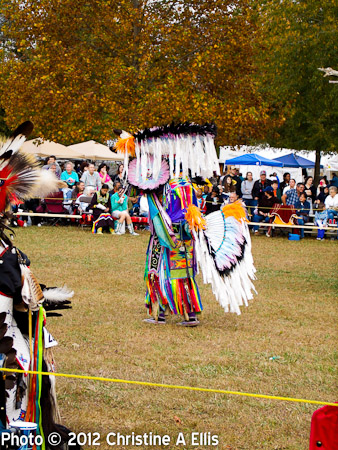 TNStatePowWow-ChristineAEllis-942