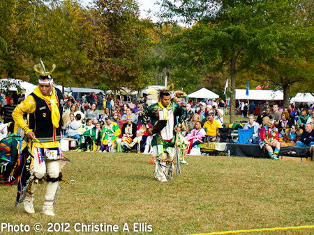 TNStatePowWow-ChristineAEllis-952
