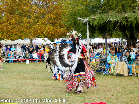 TNStatePowWow-ChristineAEllis-957