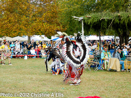 TNStatePowWow-ChristineAEllis-958