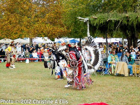 TNStatePowWow-ChristineAEllis-959