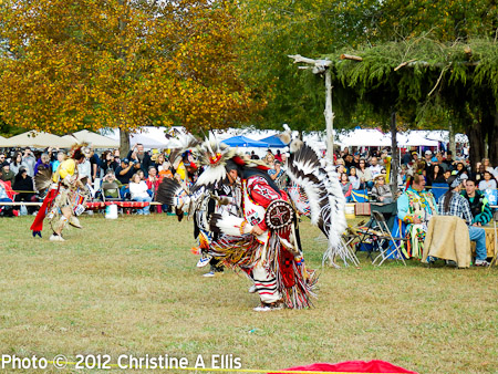 TNStatePowWow-ChristineAEllis-960